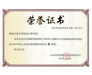 山東省自然資源科學(xué)技術(shù)三等獎(jiǎng)