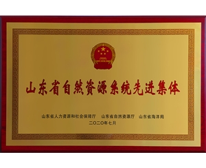 山東省自然資源系統(tǒng)先進(jìn)集體